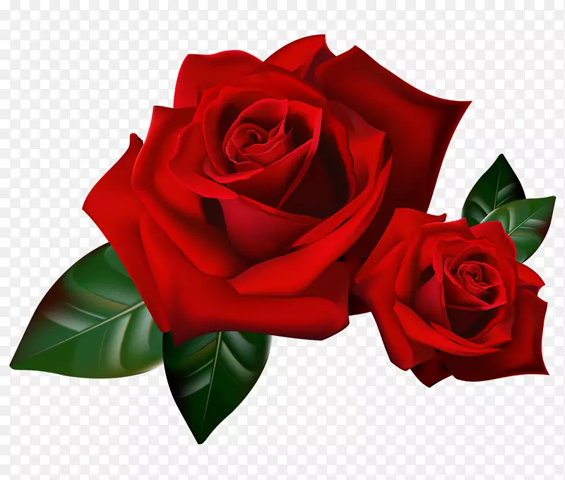玫瑰花设计剪贴画-玫瑰