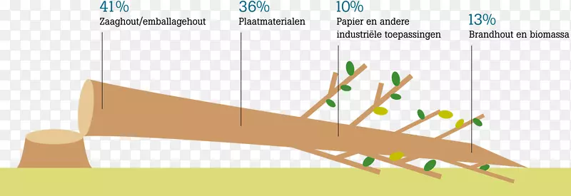 纸张Hollandse Hout米木材测量单位.木材