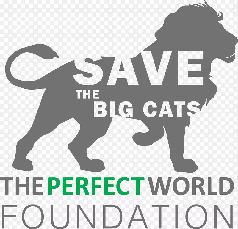 犬种狮子标志猫拯救世界