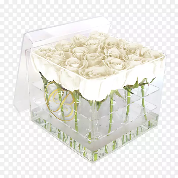 罗斯企业盒玫瑰显示装置花-罗萨斯布兰卡斯