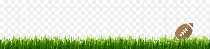 草绿商品线-草木足球