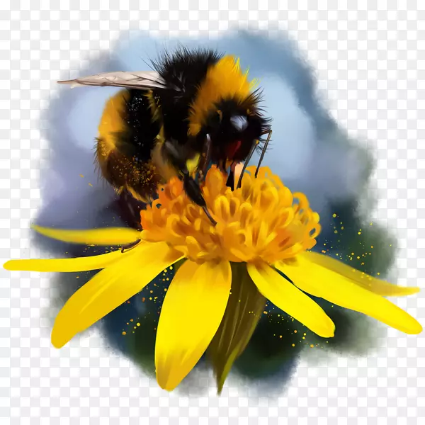 大黄蜂，蜜蜂花蜜图-蜜蜂
