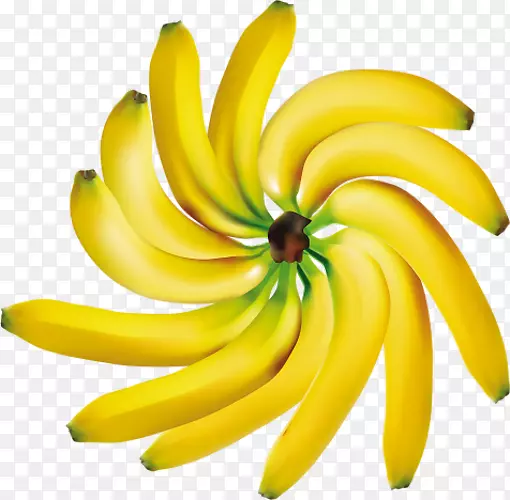 香蕉果香蕉剪贴画-香蕉