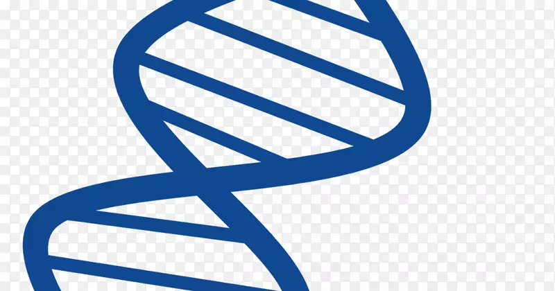 核酸双螺旋dna基因剪接载体