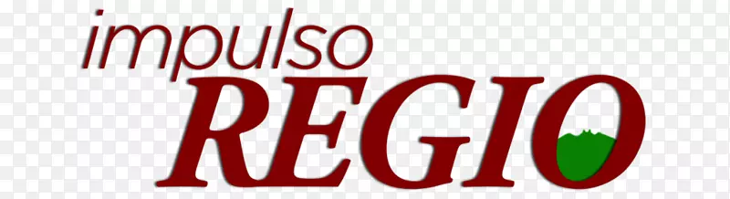 LOGO nigp代码品牌字体启动