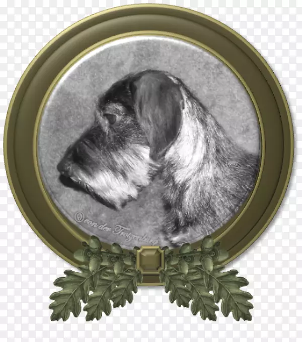 小型雪纳瑞雪拉面犬品种小巴塞格列芬文登丝毛直刺格莱芬-弗罗多