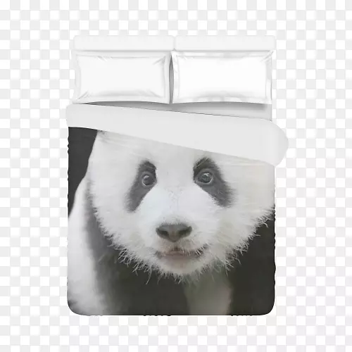 大熊猫腰带扣毛胡须鼻子-熊猫指纹