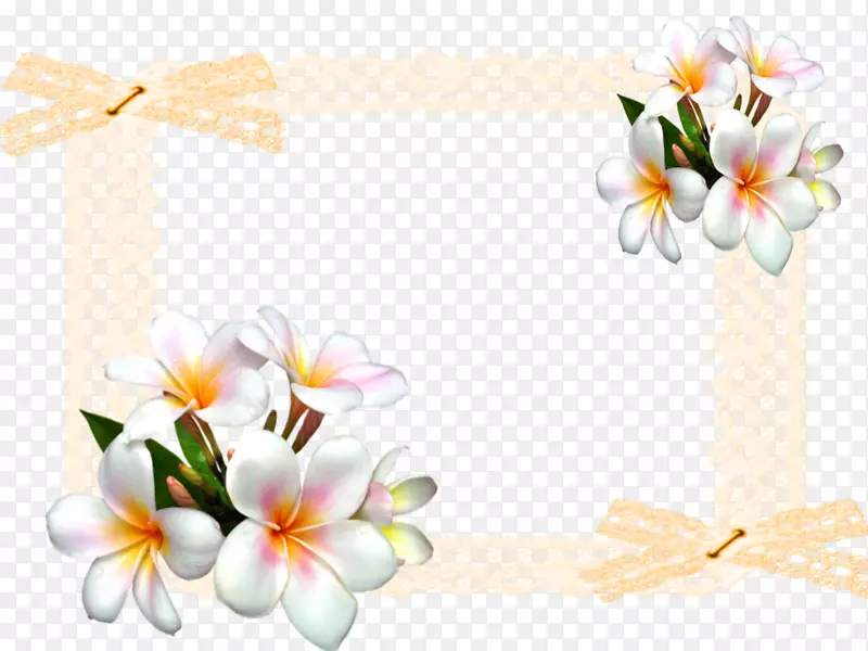 花卉设计白色剪贴画-花