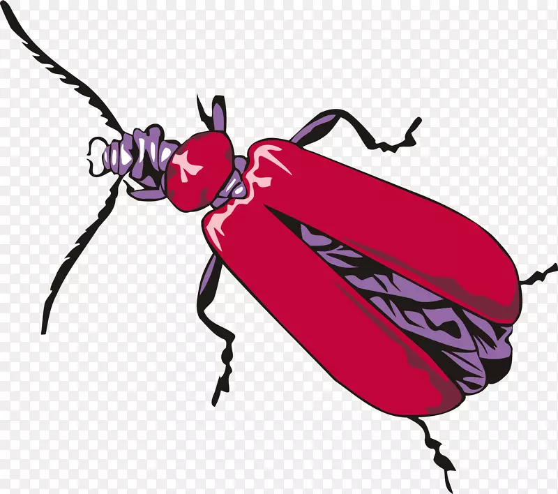 甲虫如何绘制昆虫绘画剪贴画-甲虫