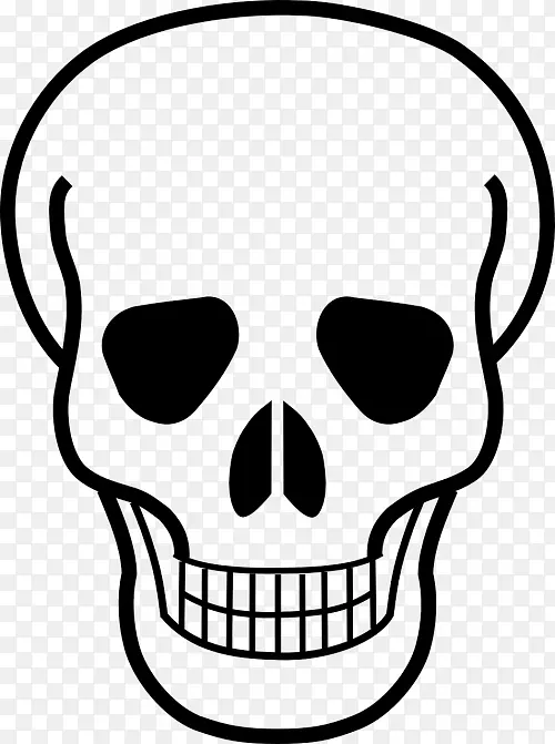 头骨和骨头骨和十字骨人类头骨象征-头骨