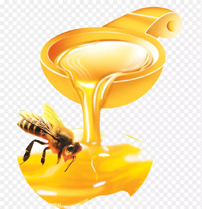西方蜜蜂蜂王浆单花蜜蜂