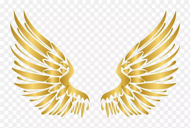 金天使翅膀图标