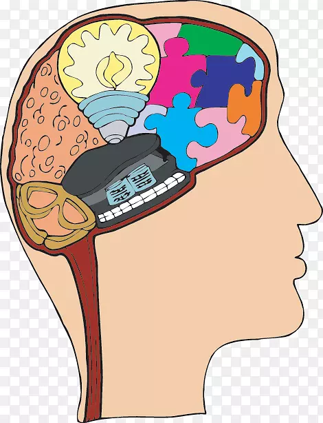 中枢神经系统脑解剖游戏-脑