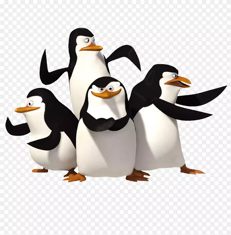 南极企鹅马达加斯加梦工厂动画-企鹅