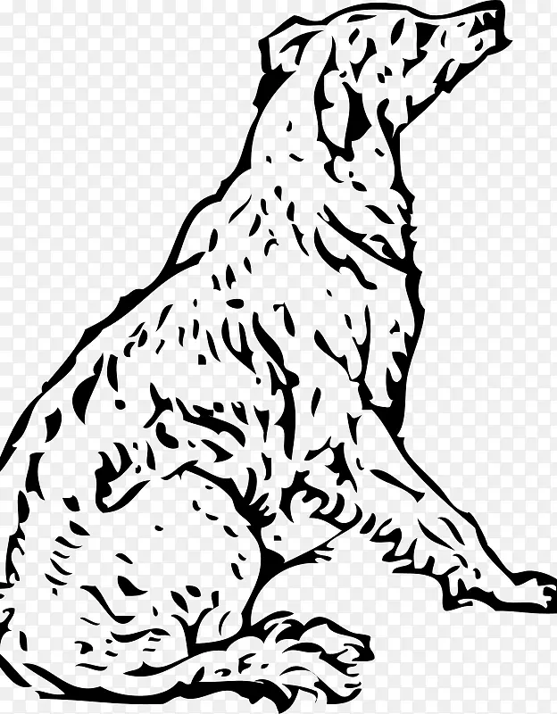 拉布拉多猎犬金毛猎犬