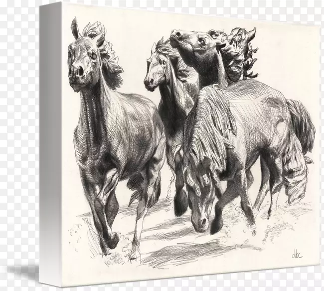 在拉斯科利纳斯的野马，拉斯科利纳斯的野马帆布版画-大卫布莱恩