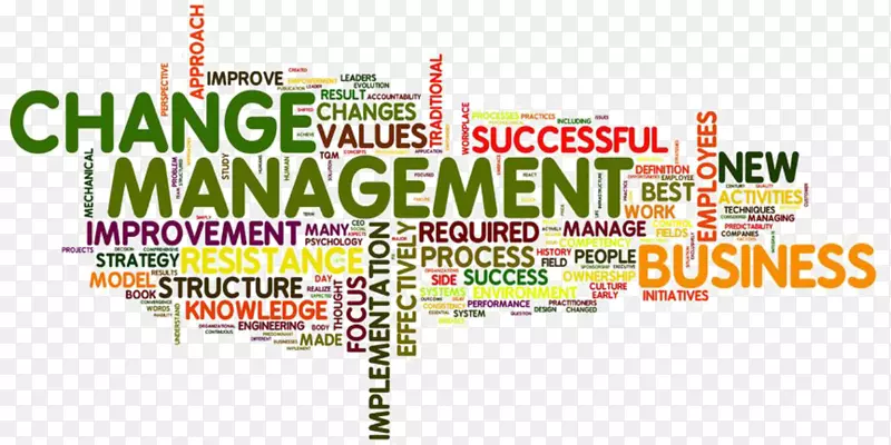 变革管理企业组织发展战略规划变革管理