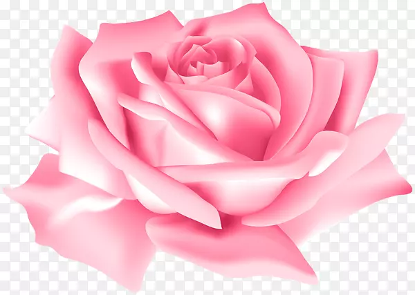 剪贴画玫瑰png图片花图像-粉红色花朵玫瑰