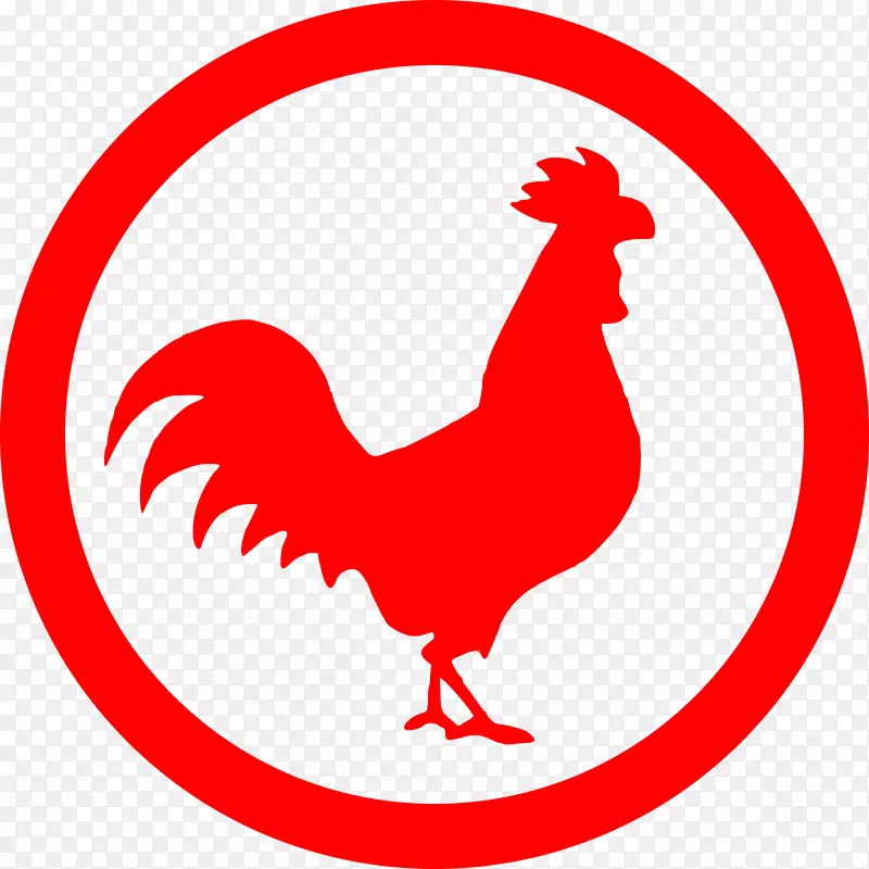 罗德岛红新罕布什尔鸡红公鸡组织