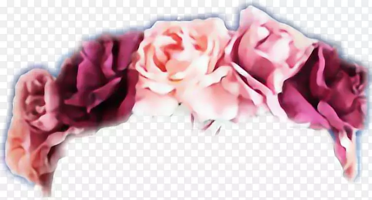 花园玫瑰送花桌面壁纸花环-花