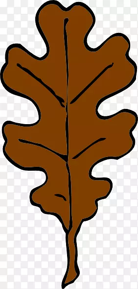 秋叶色沼泽西班牙橡木夹子艺术-棕色剪贴画