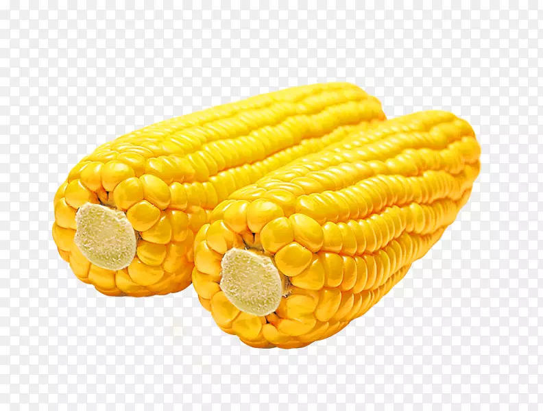 玉米芯上的玉米蜡质玉米片png图片.玉米卡通透明