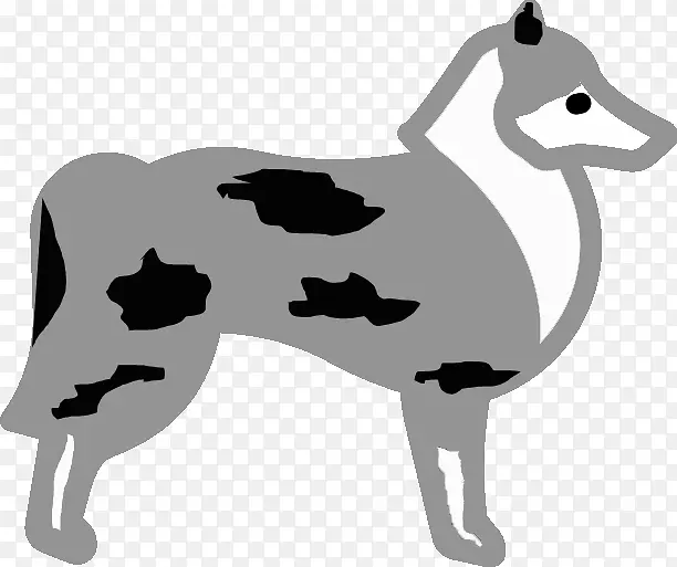 意大利灰狗品种设得兰牧羊犬颜色-小狗
