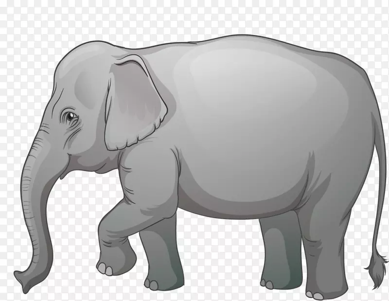 非洲象插图图形剪辑艺术-大象