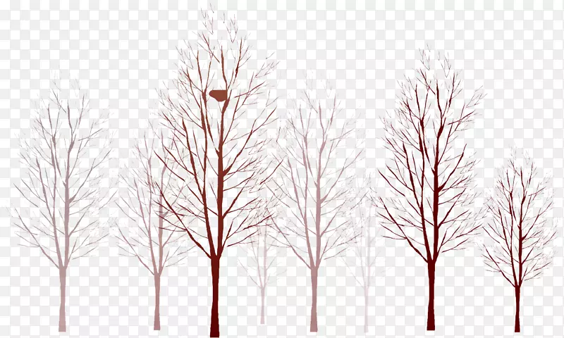 榆树枝条纸树