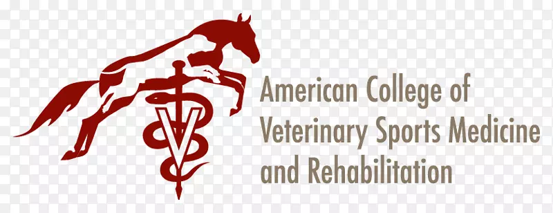 第十届国际兽医康复与理疗研讨会体育医学物理医学康复马匹