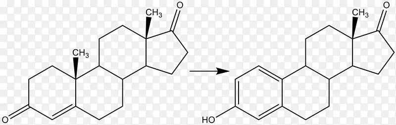 芳香化酶抑制剂睾酮雌二醇雌激素