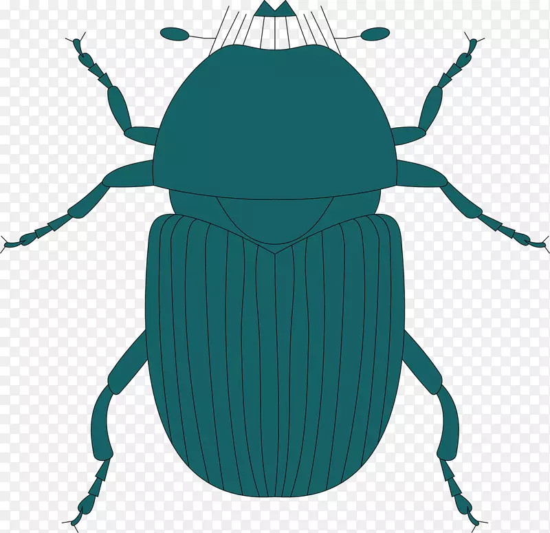 鹿甲虫剪贴画昆虫翅甲虫