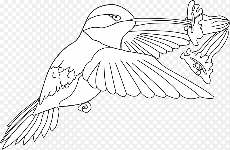 鸟喙画线艺术着色书-nf