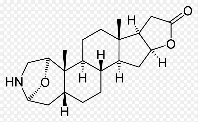睾酮合成类固醇雄激素