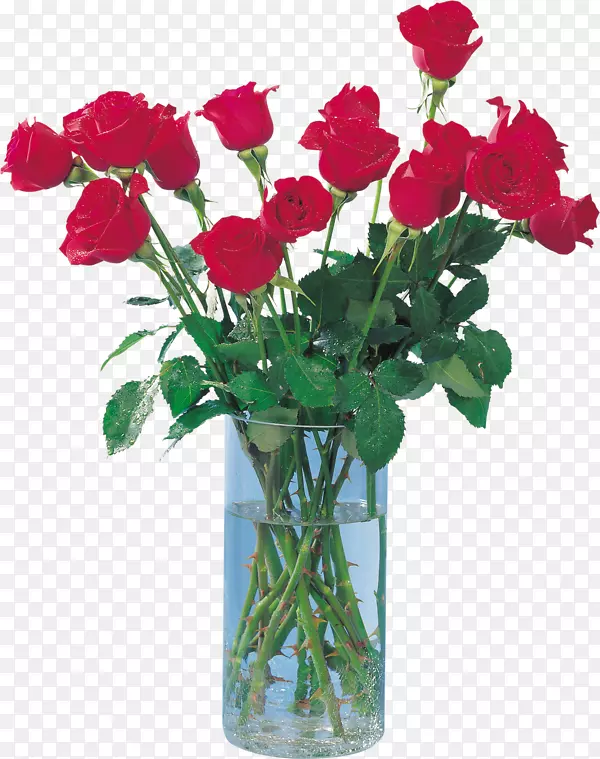 花园玫瑰花瓶卷心菜png图片花卉花瓶