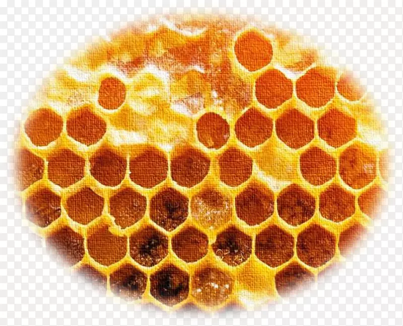 蜂巢蜂胶摄影图像