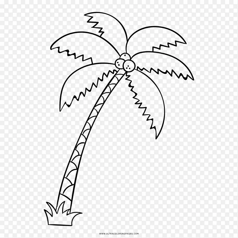 绘制槟榔科棕榈树的大着色书