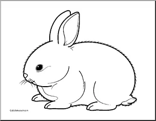白兔荷兰兔夹艺术-兔子剪贴画
