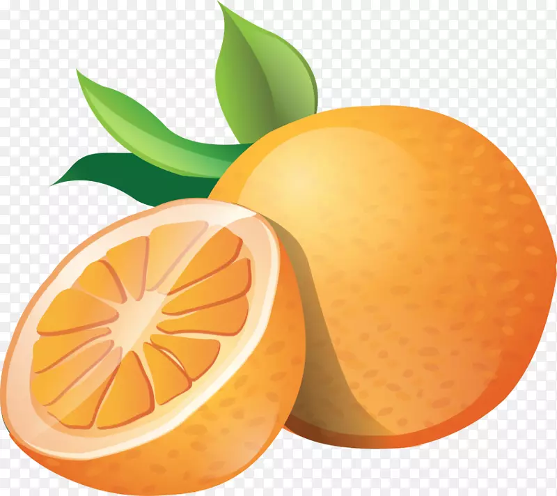 剪贴画png图片橙色开放部分下载-橙色