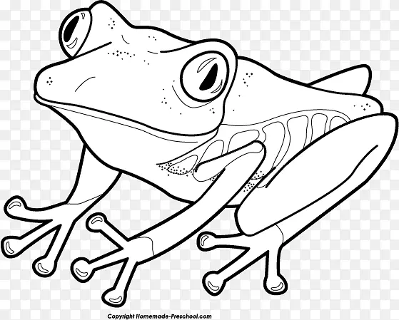 青蛙和蟾蜍是朋友树蛙着色书-青蛙