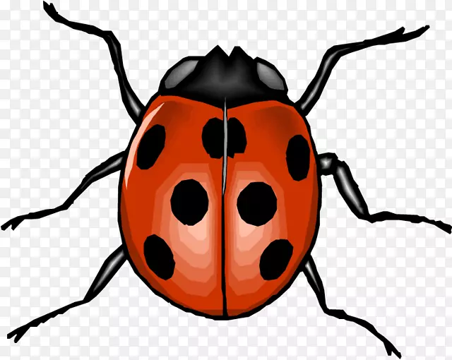 甲虫剪贴画七点瓢虫动物形象甲虫