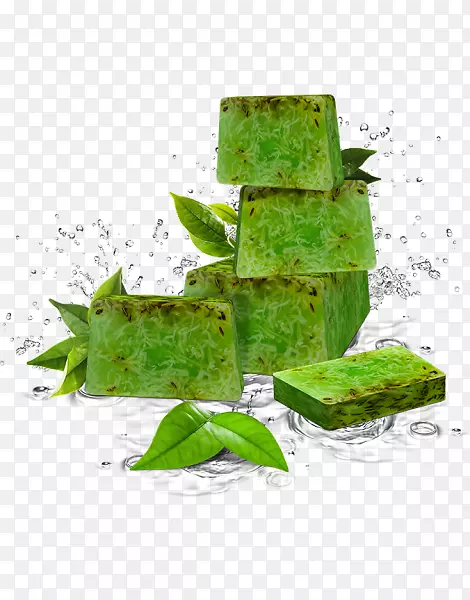 绿茶皂芦荟油提取物绿茶