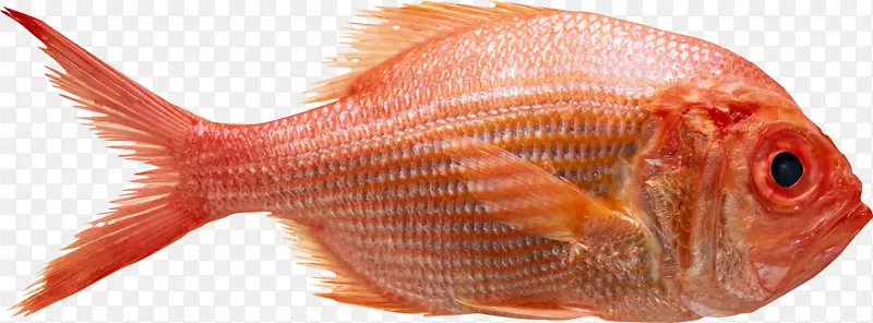 北红鱼摄影格蒂图片食物-健康