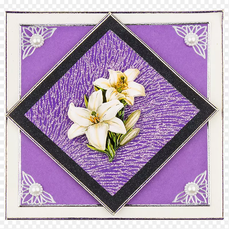 花卉设计紫罗兰画框花瓣