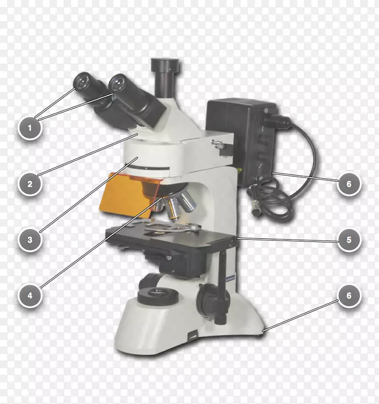 显微镜产品设计显微镜