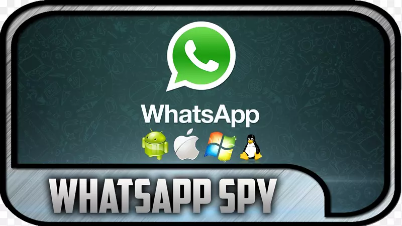 WhatsApp安全黑客mSpy黑客工具短信-WhatsApp