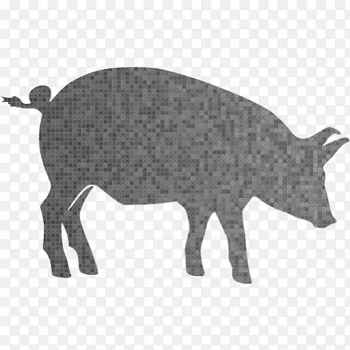烤猪烤肉贴纸灰狼猪
