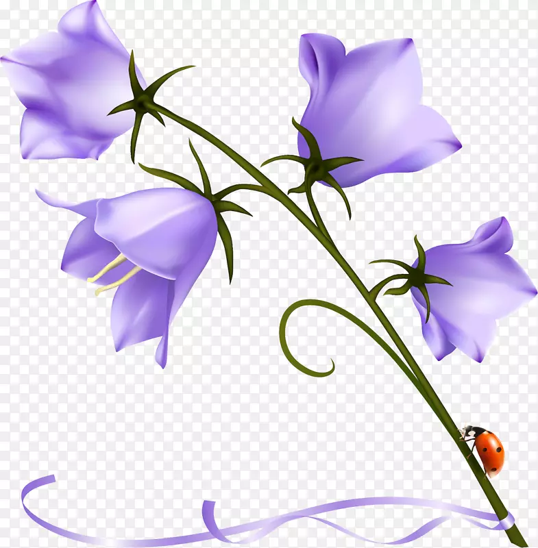藏红花剪贴画