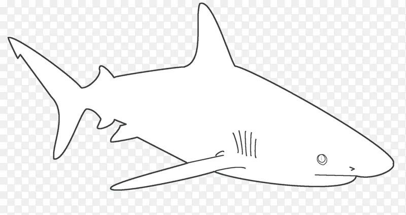 大白鲨模板鲨鱼鳍状蓝鲨-有趣的鲨鱼