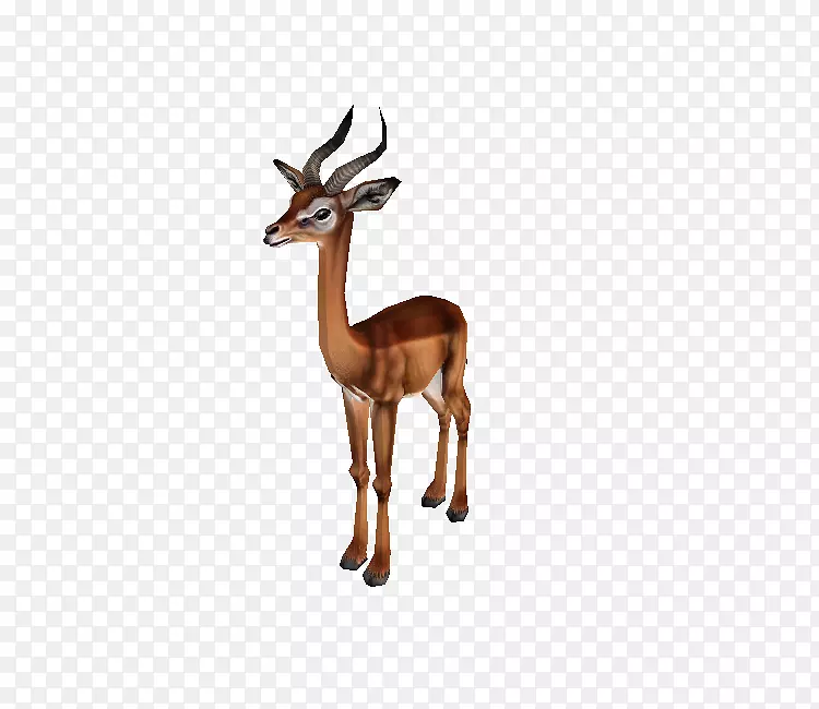黑斑羚驯鹿陆生动物-动物园大亨2动物下载